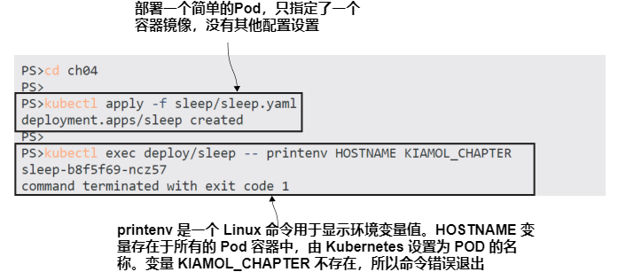 图4.1 所有Pod容器都有Kubernetes和容器操作系统设置的一些环境变量.